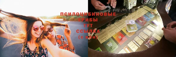 a pvp Медногорск
