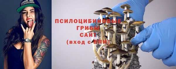 мяу мяу мука Медвежьегорск