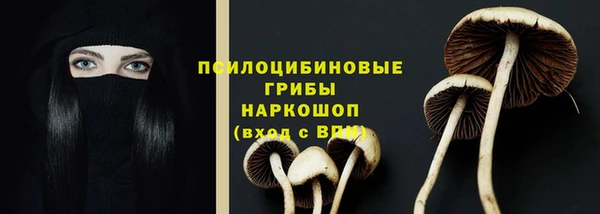a pvp Медногорск