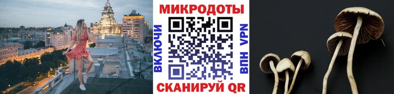 закладки  Темников  блэк спрут   Псилоцибиновые грибы мухоморы 